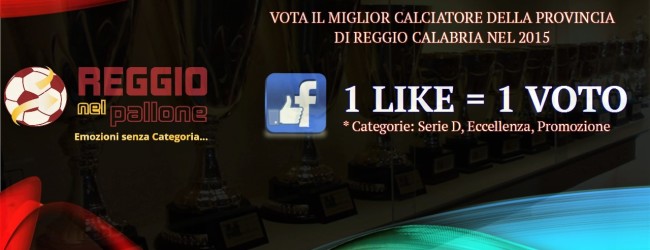[VOTA!] Premio RNP – Calciatore dell’anno 2015 (D, Eccellenza, Promozione)