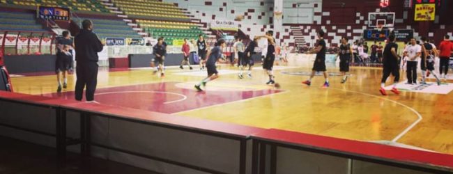 Basket, under 18 di Eccellenza: la Viola cade a Trapani