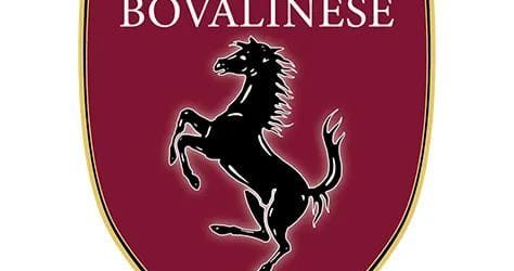 Promozione, l’appello della Bovalinese: “Necessario l’aiuto di altre forze per il futuro del club”