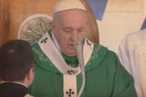 angelus di Papa Francesco