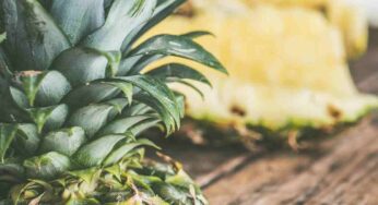 Mangiare l’ananas, non sai quanto è importante per la salute