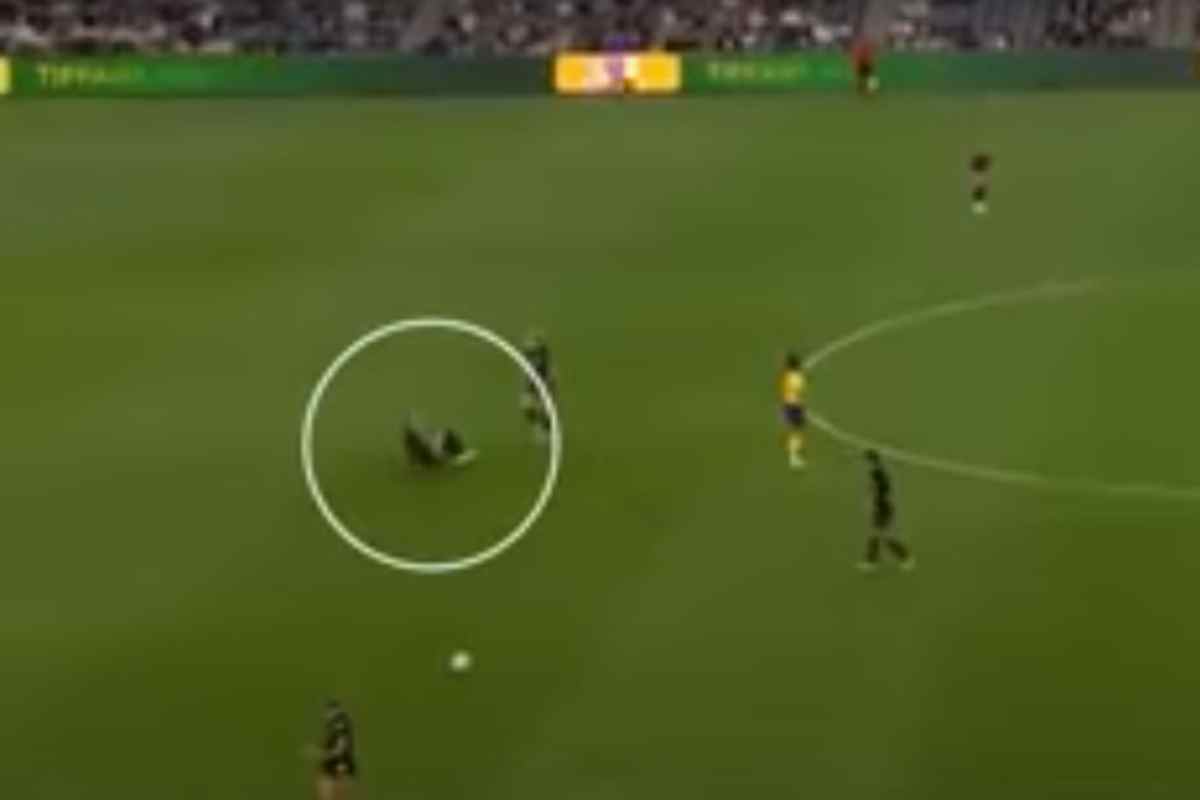 Il momento in cui Savy King perde conoscenza