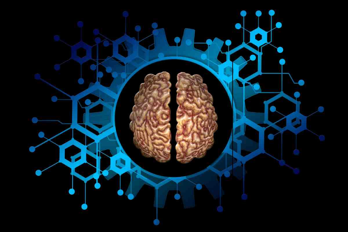 cervello e connessioni, immagine grafica