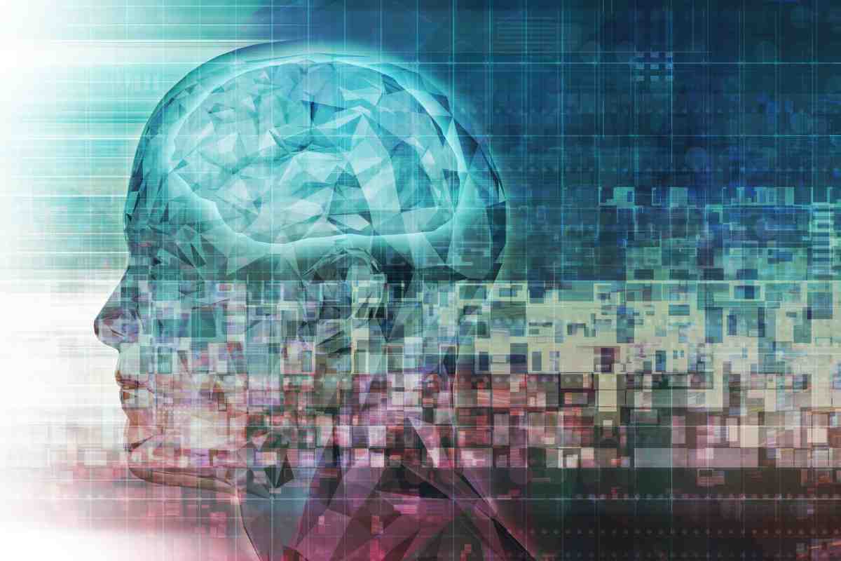 cervello e connessioni, immagine grafica
