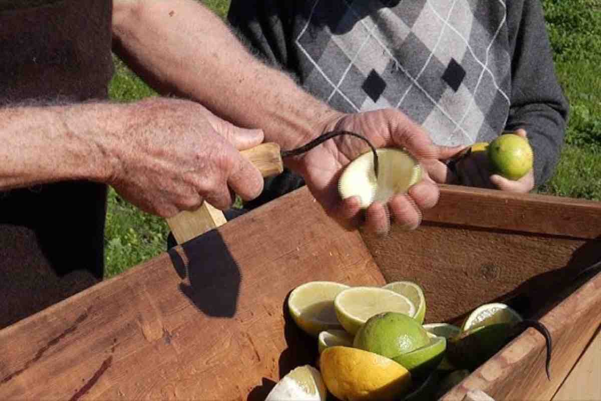 pulizia del bergamotto