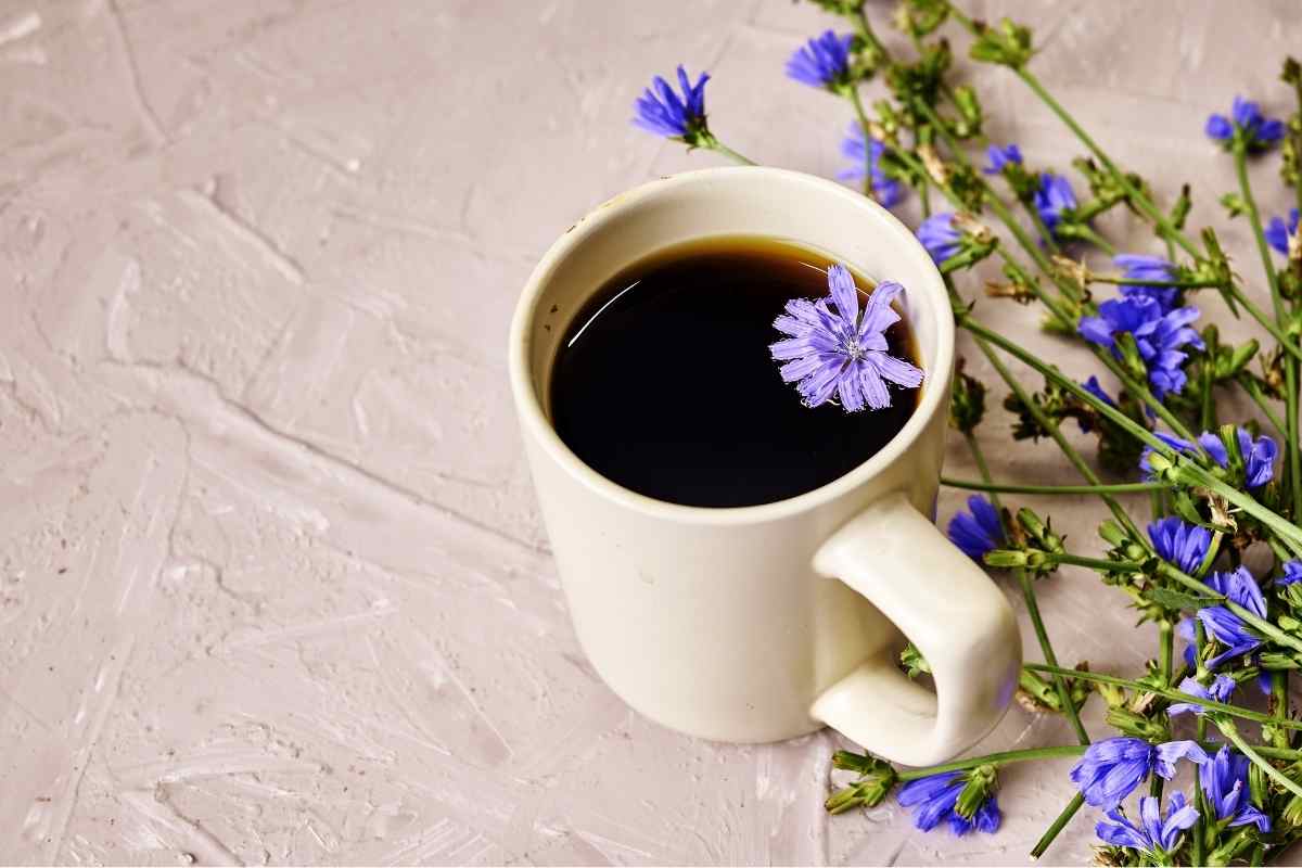 alternative bevande colazione senza caffeina